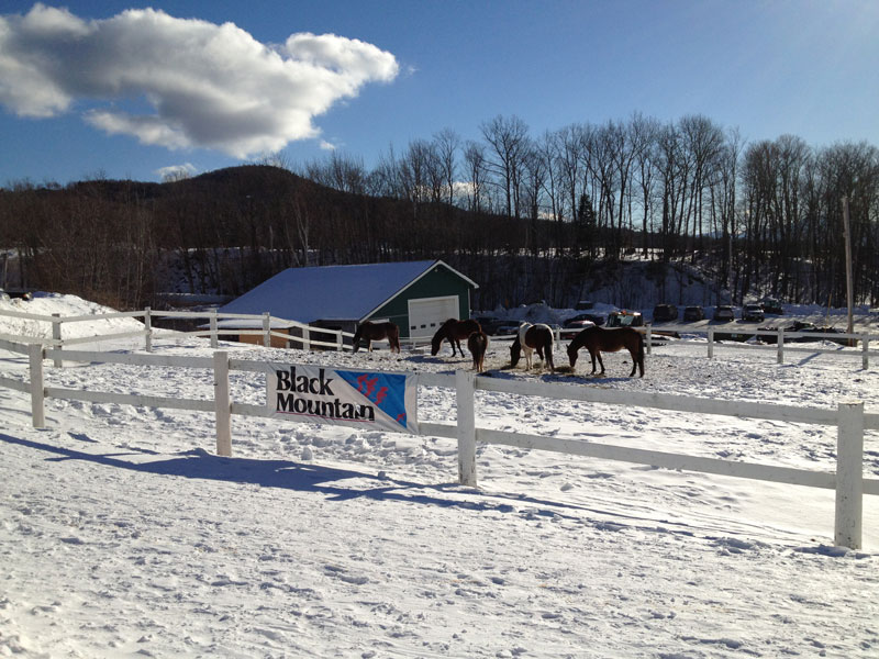 The mountain has horse back riding in the warmer months.